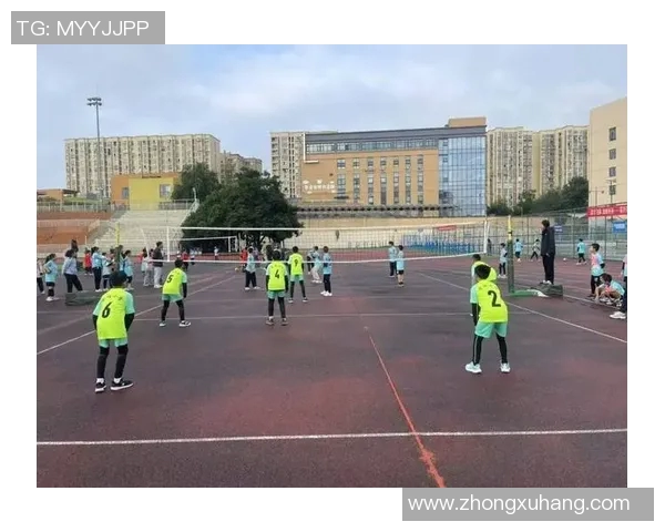 成都排球队技术革新引发热议助力竞技水平提升